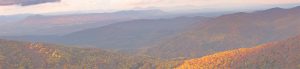 Aglow Hickory Header
