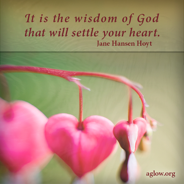 It is the wisdom of God that will settle our hearts.